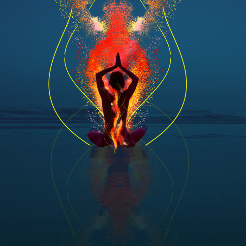 Seu Professor Online